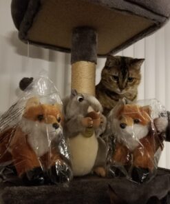 Aurora® Adorable Mini Flopsie™ Foxxie™ Stuffed Animal - Playful Ease - Timeless Companions - Orange 8 Inches Plush 31 61mqJf2wSTL