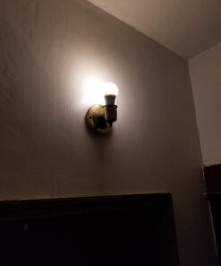 LUXON 5W A19 Radar Detector Dusk to Dawn 50W Equivalent Smart Led Lamp Lighting Indoor Outdoor Motion Sensor Bulb Auto On/Off E26 Base Soft White 2700K 1 2700k Warm White 35 61muK5XAPL