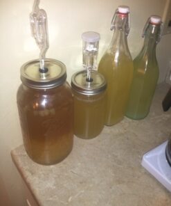 Quarter Cup Florida Sun Kefir Exclusive LIVE Prickly Pear Cactus Nodules Virgin Water Kefir Grains Unused 32 61mvUNEnsL