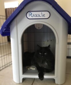 always-quality Indoor Outdoor Dog House Small to Medium Pet All Weather Doghouse Puppy Shelter Blue 18 61mx3TmqmIL