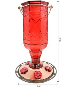 More Birds Red Jewel Hummingbird Feeder, Glass Hummingbird Feeders for Outdoors, 5 Feeding Stations, 20 Ounces Standard Packaging 21 61n026CdoVL