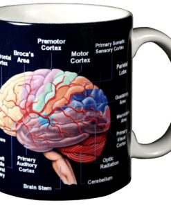Alternative view of WILD COTTON Brain 11 Ounce Ceramic Coffee Mug (WC462M)