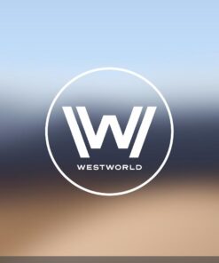 Amazon Basics HDMI A to DVI Adapter Cable, Bi-Directional 1080p, Gold Plated, Black, 10 Feet, 1-Pack 10 ft 32 61n74L ijJL