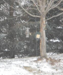 More Birds Abundance Bird Feeder, Combination Mixed Seed and Thistle, 6 Feeding Ports, 3.5 lb Seed Capacity Medium 29 61n8EzOJcaL