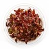 SubstrateSource Alternanthera Reineckii 'Mini' Red Stem Tissue Culture Aquatic Live Aquarium Plant - 100% Snail Free in Vitro Cup (AR Mini) AR Mini 30 61n9hH0oZbL