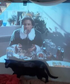 TMY Native 1080P Projector with 5G WiFi and Bluetooth 5.1, 13000 Lumens 4K Supported Mini Projector, Portable Projector Compatible with TV Stick/Phone/PC/DVD/HDMI/AV/USB/SD, Outdoor Movie Projector 72 61nHhcvTJoL