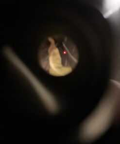 Pinty 30mm Reflex Red Green Dot Sight Scope 5 MOA with Flip Up Lens Cover Cap 43 61nJUF IVvL 1