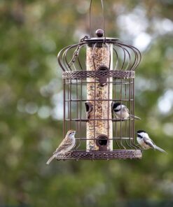 Gardener's Supply Company Edwardian Cage Bird Feeder | Sturdy Squirrel-Proof Outdoor Hanging Hummingbird Feeder with 6 Feeding Ports | Best for Finches & Other Small Birds 13 61nJoz4GWoS