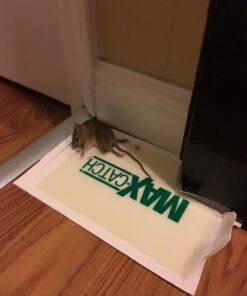 Catchmaster Mouse & Insect Super Glue Traps 30PK, Mouse Traps Indoor for Home, Extra Strength Sticky Pest Control Adhesive Tray for Catching Bugs, Rats & Rodents, Non Toxic Bulk Pre-Baited Glue Boards 69 61nJpVHvXbL