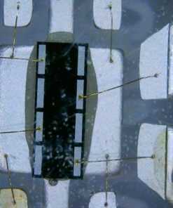 Jiusion WiFi USB Digital Handheld Microscope, 50 to 1000x Wireless Magnification Endoscope 8 LED Mini Camera with Metal Stand Compatible with iPhone iPad Mac Windows Android 52 61nLpdQXYjL