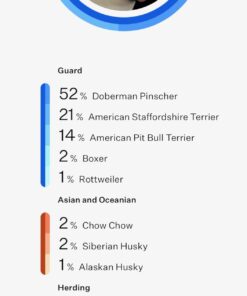Wisdom Panel Breed Discovery Dog DNA Kit: Most Accurate Dog Breed Identification, Test for 365+ Breeds, MDR1 Health Test, Ancestry, Relatives 31 61nQhge5jPL