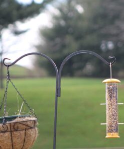 Ashman Shepherds Hook 65 Inch Two Sided Shepherd Hook, 1/2 Inch Thick, Super Strong, Rust Resistant Steel Hook Ideal for Use for Hanging Plant Baskets, Bird Feeders, and Weddings Pack of 1 21 61nW90YTY1L