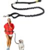Hands Free Dog Leash by Hertzko – Great Running Leash for m=Medium to Large Dogs - Strong, Durable and Weather Resistant Nylon Bungee Leash (36 inches Bungee) Standard- 36 inch Bungee 38 61nZMdNjbL