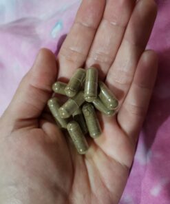 A+ Armor Andrographis Pure 800 Mg – Healthy Immune System Function, Physical Wellness, Potent Strength for Seasonal Protection – Full-Spectrum & Standardized – 60 Vegan Soft Capsules 20 61nctxr0NpL