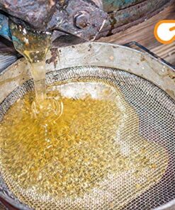 Powerblanket BB55 Bee Blanket 55 gal Drum Heater, Honey with Fixed TSTAT, 800W, 120V 55-Gallon 120 V 24 61neLJBQQgL