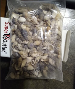 Tiny Miniature Fairy Garden Beach Critter Seashells Marine Life Collection for Art & Craft Project, Outdoor & Indoor Home Decoration, Party Favor, Invitation (4.5oz Bag, 500 Shell) 38 61neMiTM7AL