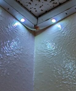 DAYBETTER Smart WiFi Led Lights 100ft, Tuya App Controlled Led Strip Lights, Work with Alexa and Google Assistant, Timer Schedule , Color Changing Led Lights for Bedroom Party Kitchen 42 61nhK5CL24L