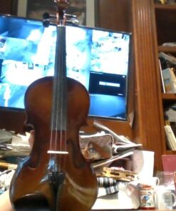 SKY 4/4 Full Size SKYVN201 Solid Maple Wood Violin with High Quality Lightweight Case, Brazilwood Bow, String, Rosin and Mute 47 61nn6lSuwL