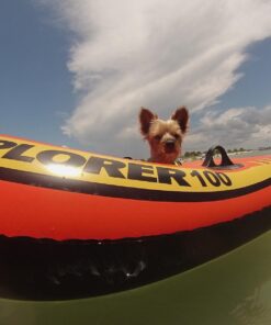 INTEX Explorer Inflatable Boat Series: Dual Air Chambers – Welded Oar Locks – Grab Handles – Bow Rope – Sporty Design Explorer 100 30 61nnVkEFU9L