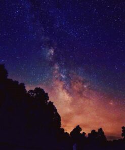 Tokina AT-X PRO DX for digital SLR 11-20mm f/2.8 Pro DX Lens for Nikon F 59 61ntyiKKefL