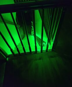 GUPUP 100 FT LED Strip Lights,Rope Lights,Bluetooth APP Control,Color Changing Light Strip,Lights sync with Music,para cuarto,LED Lights for Bedroom(Packaging Error Described as 30FT) 42 61o0LkGBPZL