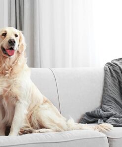 Enforcer 20-Ounce Flea Killer for Carpet, fresh linen scent 8 61o17WxSVL