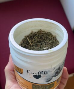 Our Pets Premium Catnip - 1.25 oz Jar of High Potency Catnip - 100% North American Grown 1.25 oz. 25 61o8ao0bzpL