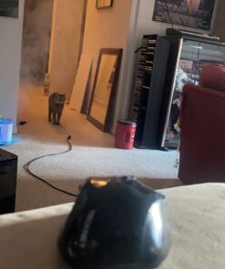 TECKNET Wireless Mouse, 2.4G Ergonomic Optical Mouse, Computer Mouse for Laptop, PC, Computer, Chromebook, Notebook, 6 Buttons, 24 Months Battery Life, 2600 DPI, 5 Adjustment Levels 32 61o9RuRKycL