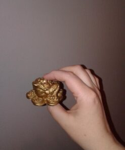 1 X Feng Shui Money Frog/Money Toad Attract Wealth 27 61oAdslBgqL