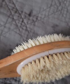 Vive Back Scrubber Brush for Shower - for Dry or Wet Body Brushing - Long Handle - Cleaning Lymphatic Drainage Handled Washer for Men, Women - Showering Bathing Exfoliator with Soft & Stiff Bristles Light Wood 31 61oUQKdmOgL