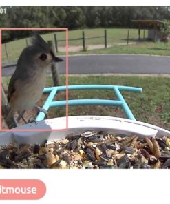 NETVUE Birdfy AI - Smart Bird Feeder with Camera + Solar Panel, Free AI Forever, Auto Capture & Identify 6000+ Bird Species, Bird Videos for Birdwatching, Ideal Gift for Bird Lover Solar Blue 43 61oWGpx7KQL 2