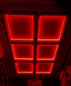 Govee 32.8ft Color Changing LED Strip Lights, Bluetooth LED Lights with App Control, Remote, Control Box, 64 Scenes and Music Sync Lights for Bedroom, Room, Kitchen, Party, 2 Rolls of 16.4ft 39 61obThLRXEL