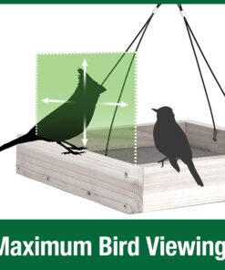 Wild Wings WWCF23 Cedar Tray Bird Feeder 27 61ocnEFYuBL