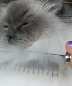 Coastal Pet Safari Cat Shedding Comb - Prevents Hairballs - Daily-Use Cat Deshedding Brush - For Cats with Short and Long Hair - One Size 32 61od2xTNBfL