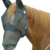 Cashel Quiet Ride Horse Fly Mask with Long Nose and Ears, Black, Horse 46 61odALZL20L