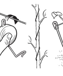 Alternative view of Hydrofarm HGPLYO Yoyo, Pack of 12 Plant Yo with Stopper, Case of 12