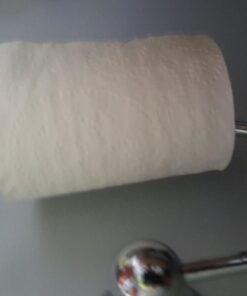 10 Pack 4LR44 / 476A / PX28A / A544 / K28A / L1325 Dog Collar 6V PetStandard Brand 24 61ojOlsKFjL