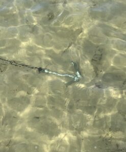 Best Marine Kayak Anchor, 3.5 Pound Anchor Kit for Kayaks, Canoes, SUP Paddle Boards & Jet Skis, Fishing, Boating & Kayaking Accessories Silver 21 61omBe5Ub6L