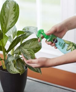 Miracle-Gro Leaf Shine, 8-Ounce Green 8 oz. 26 61omvVq4JGL