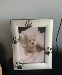 Skyway Puppy Dog Paw Print Pet Photo Picture Frame Silver - 5 x 7 20 61on9p9ByhL