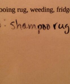 EXPO Vis-a-Vis Wet Erase Markers, Fine Point, Assorted Colors, 8 Count 8 Count (Pack of 1) 43 61op GeAaNL