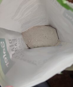 Safer Home SH51703 OMRI Listed Diatomaceous Earth - Ant, Roach, Bedbug, Flea, Silverfish, Earwig, & Crawling Insect Killer 33 61ouUCB9jZL