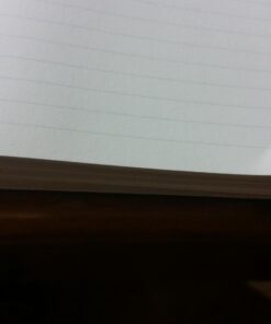 LEUCHTTURM1917 - Notebook Hardcover Medium A5-251 Numbered Pages for Writing and Journaling (Black, Ruled) Black 33 61ow1E4pdvL