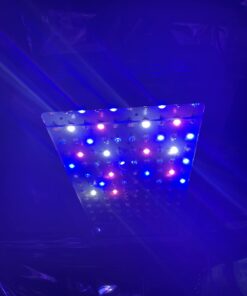 KingLED 2023 Newest 1500w LED Grow Lights with Samsung LM301B LEDs 4 * 4 ft Coverage Full Spectrum Grow Lights for Indoor Hydroponic Plants Greenhouse Growing Lamps Veg Bloom Daul Mode 47 61oxQ74NCNL