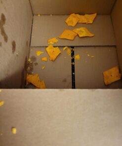 Cheez-It Cheese Crackers, Baked Snack Crackers, Lunch Snacks, Variety Pack (42 Packs) 4-Flavor Variety 1 Ounce (Pack of 42) 30 61ozAFGtwtL 1