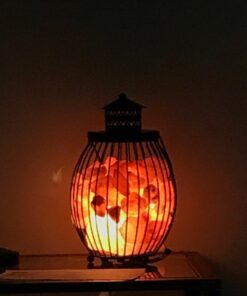 Himalayan Glow SPT-2 Original Replacement Electric Cord with (ETL Certified) Dimmer Switch 20 61p FFhjr1L