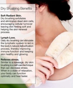 Ginger Chi Dry Brush for Skin, Dry Brushes for Body - Natural Bristle Brush for Dry Brushing Skin (Sisal Dry Brush) 18 61p6e2zDRL