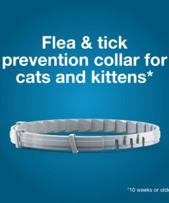 Seresto Cat Vet-Recommended Flea & Tick Treatment & Prevention Collar for Cats | 8 Months Protection 1 Pack Cat Only 25 61p7YpLs L