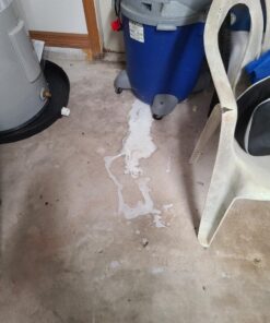 Roundup Ready-To-Use Weed & Grass Killer III -- with Sure Shot Wand, Use in & Around Vegetable Gardens, Tree Rings, Flower Beds, Patios & More, Kills to the Root, 1.33 gal. 32 61p7fn5r1rL 1