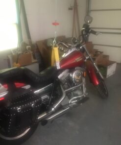 Partsam 2200 lbs Lift Electric Hoist Crane Remote Control Power System, Zinc-Plated Steel Wire Overhead Crane Garage Ceiling Pulley Winch w/Premium Straps (w/Emergency Stop Switch) 27 61p8QYuSeRL